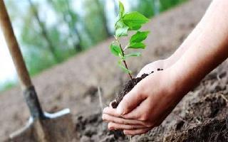 independence-day-2020-5000-saplings-to-be-planted-in-delhis-chhatarpur-assembly-constituency-on-august-15